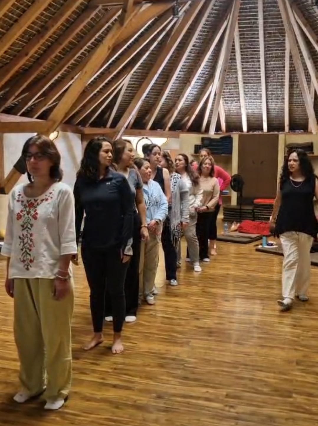 Constelaciones Sistémicas